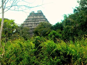 Mayan Palace