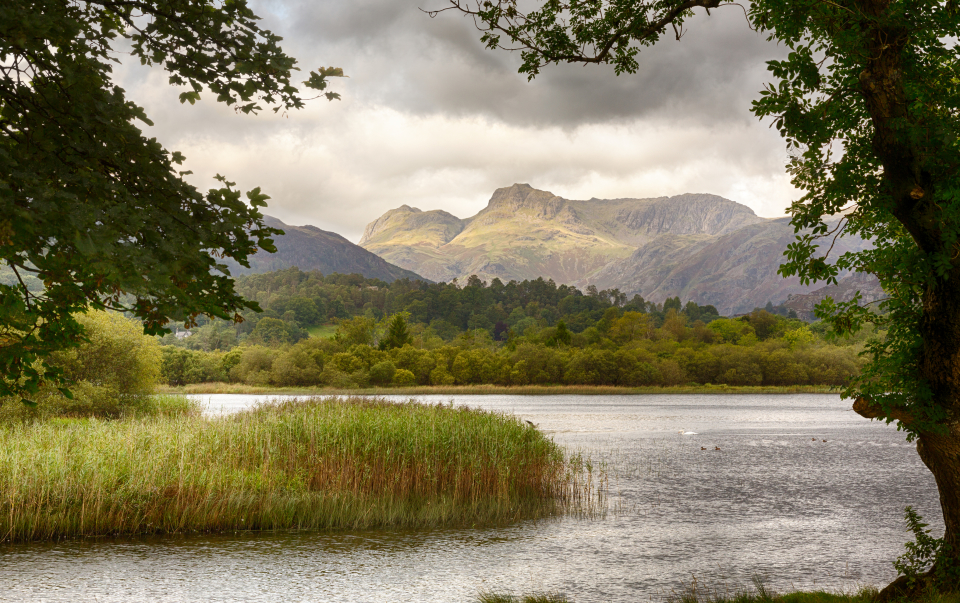 Langdale Pikes & Elter Water, Lake District, UK