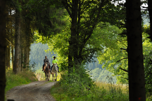 Colorado Springs Summer Vacation Horseback Riding